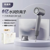 가정용 고속 헤어 드라이기 음이온 속건성 저소음 고출력, 그레이