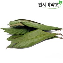 국산 말린 비파잎 150g 비파잎차 비파차, 1개