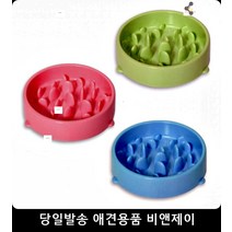 강아지키우는법 급체방지 슬로우식기 애견사료보울, 그린