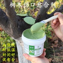 나무상처연고제 도포제 줄기 도말제 분재 과수 접목, 100g (브러시 오렌지 레드 보내기), 1개