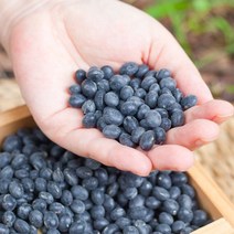 국산 서리태 무농약 검정콩 속청 검은콩 친환경 햇, 서리태(무농약) 500g, 1개