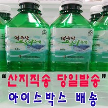 (아이스박스 배송) 첫물 달콤한 청정 덕유산 100% 고로쇠수액 당일발송, 500ml, 20개