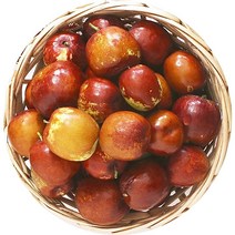 보은 햇 대추 사과대추 1kg 건대추 대추칩 햇대추 생대추 보은, 보은사과대추 1kg 중