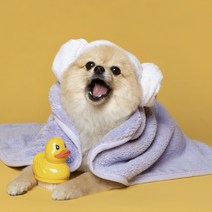 3L 물흡수 강아지 고양이 펫타올 목욕 수건 드라이 타월 라일락연보라색 M L 소중대형견 사이즈, 펫타올M(50x70)
