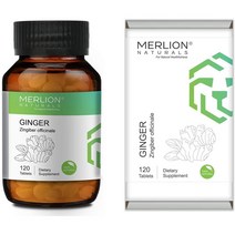 미국직구 Merlion Naturals Ginger 태블릿 Zingiber officinale All Natural Pure Herbs 500mg x 120정, 수량, 상세참조