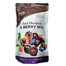 MORLIFE 다크초콜릿 5 베리믹스 567g, 1개
