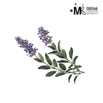 마타바 에센셜오일 NO.29클라리세이지 30ml