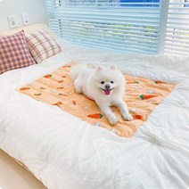 강아지 쿨매트 애견 고양이 쿨방석 쿨링매트 여름방석 대리석, 코기