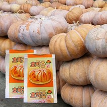 대원건강푸드 국내산 늙은 호박즙 호박100%, 110ml, 100봉, 100봉