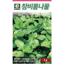 곤드레 100립 - 씨 씨앗 곤드레씨앗 곤드레씨 나물씨 나물씨앗 민속채소 채소씨 채소씨앗 고려엉겅퀴, 31_다농_참비름나물(1g)