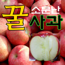 [산지직송] 2022년 햇사과 부사 소미네 사과, 1박스, 08.사과 가정용흠과 중과 10kg (32~35과내외)