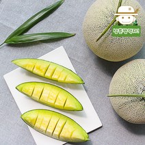 부드러운 과육 가득 달콤한 국내산 머스크 멜론 2과, 2수(2kg내외), 2개