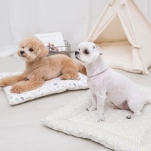 사계절용 꿀잠 순면 강아지방석 매트, 블랑래빗