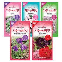 야생화씨앗 수입꽃 100선 가든엔씨앗 톱풀파스텔 배초향 알케밀라 제비고깔 수레국화 제라늄, 풍접초 체리퀸