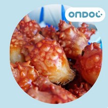 [온도씨]경남 통영 산지직송 활멍게(1kg), 1kg, 1개