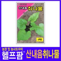 헬프팜 산내음취나물 3g 씨앗 종자 그린하트바이오