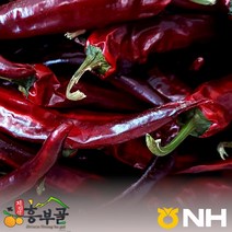 지리산농협 23년 지리산 햇 건고추, 5근(3kg), 1개
