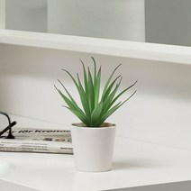 1+1 이케아 FEJKA 페이카 인조 다육 식물 화분 6cm 1P, 20개