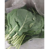친환경 케일 1KG 무농약 유기농 즙용 녹즙용 쥬스용 다이어트 혈관건강 건강주스 이소라주스 쌈채소 편스토랑 케일김치, 1박스