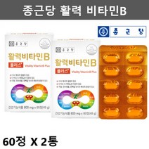 종근당 비타민B 수용성 활력 비타민 B군 비군 B5 비타민비 컴플렉스 활력 비타민B 컴플렉스 비타민B3 비타민B12 비타민B1 비타민B2 비타민B9 60정2통