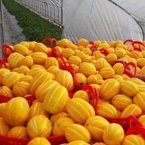공주네농장 성주 참외, 04. 가정용 흠과 2KG / 특대과, 1박스