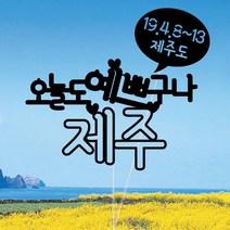 WPM 강릉 여행토퍼 동해여행토퍼, 4.일반토퍼_오늘도예쁘구나, 1개