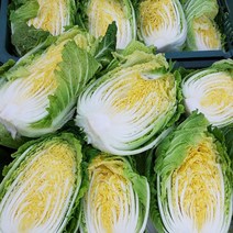 고랭지 절임배추 세트 5kg 10kg 20kg / 맛있는 김치양념 국산 100%, 12, 고랭지절임배추 10kg(3~4포기전후)