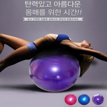 밥심스포츠 짐볼 골반운동기구 스트레칭 다이어트 공 크기, 실버