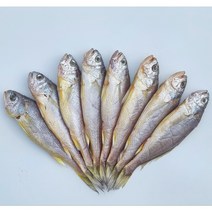 [반건조] 국산 목포 참조기 8미 저염 손질 (특대 대 중), 중8미 (18cm이상)