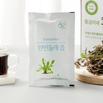 황금이네 흰민들레즙 대용량 2박스(100포), 100ml, 2박스, 100포
