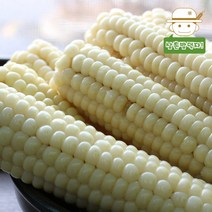 삼촌밥먹자 쫀득쫀득 괴산 급냉 찰옥수수 30개, 1box 중(15-17cm내외)