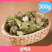 전통차 말린 삼백초 약초 300g 삼계탕 영양 비누 건강