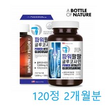 관절 영양제 초록잎 홍합 글로코사민 홍화씨 뼈건강 MSM 콤플렉스 40대 50대 60대 무릅 관절 뼈 영양제, 120캡슐, 1,300mg