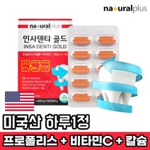 미국 인사덴티골드 60정 프로폴리스추출물 비타민C 50mg 칼슘 210mg 플라보노이드 17mg propolis vitaminC, 1박스