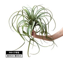 정원 조화 인조 틸란드시아 세로그라피카 대형 그린 베란다 플랜테리어 식물 에어플랜 인테리어, FH9-37동색