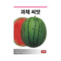과채 씨앗 채소 과일, 과실맺는 씨앗, 땅콩호박, 1개