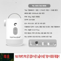 전동 미니 에어펌프 무선 휴대용 튜브 공기주입기 Flextaiear fishtail 야외 휴대용 공기 펌프 캠핑 공기 침대 풍선 다기능 저장 펌프, 02.MP2PRO(흰색) 3600mAh