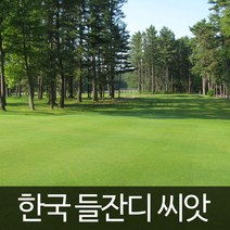 들잔디 잔디씨앗 잔디 씨앗 산소 lawn grass seed 15g