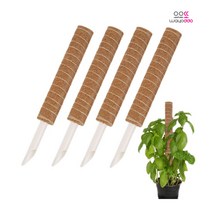 와요또 몬스테라 수태봉 코코봉 식물지지대 지주대 30 50 80 100 120cm, 5.120cm