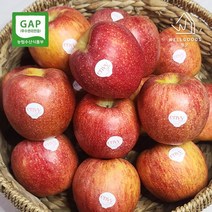 [웰굿] [정품]GAP인증 고당도 엔비사과 4kg(16과내 중과), 상세 설명 참조