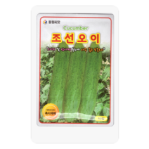 조선오이씨 50립 오이 씨앗 대장 동원종묘