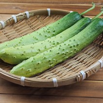 농장직송 무농약 국내산 백 다다기오이 2kg 9-10개