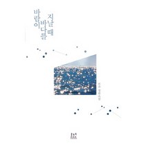 바람이 바다를 지날 때:진주 장편소설, 로코코, 진주 저