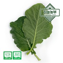 하늘농부 친환경 쌈케일 150g 무농약이상 케일 쌈채소