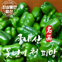 국내산 청피망 못난이피망 피망 특품 1kg 5kg, 못난이 청피망 1kg, 1개