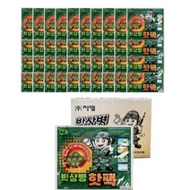 지엘 박상병 대용량 핫팩 140g, 40개, 1개입