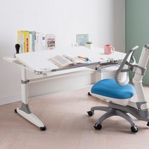 퍼펙트 1200 데스크 (온라인전용), 단일속성