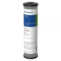 Pentair Pentek C1 탄소 정수 필터 25.4cm(10인치) 언더 싱크 이중 용도 분말 활성탄 함침 셀룰로오스 교체 카트리지 25.4cm(10인치) x 6.4cm(, 20 x 2.5, 1 Count (Pack of 1)