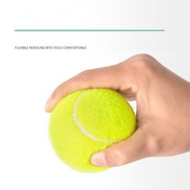 반려동물 테니스 장난감 강아지 고무 골든 테디 인터랙티브 훈련 용품 애완 롤러, T01-6cm