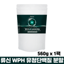 류신단백질 BCAA 아미노산 운동 근육 단백질 보충제 WPH 유청단백질 뉴신 로이신 프로틴, 1팩, 단백질분말 560g